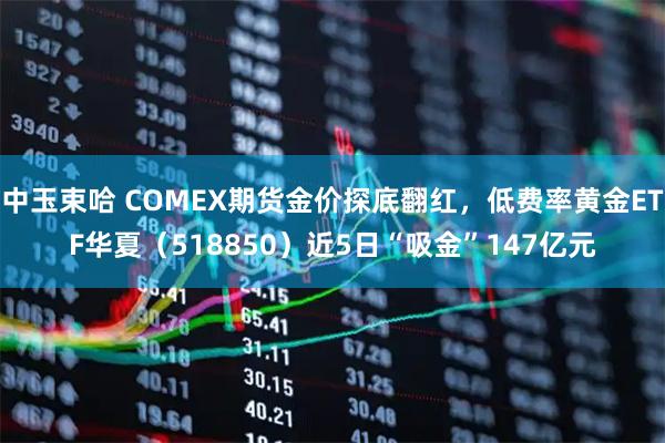 中玉束哈 COMEX期货金价探底翻红，低费率黄金ETF华夏（518850）近5日“吸金”147亿元